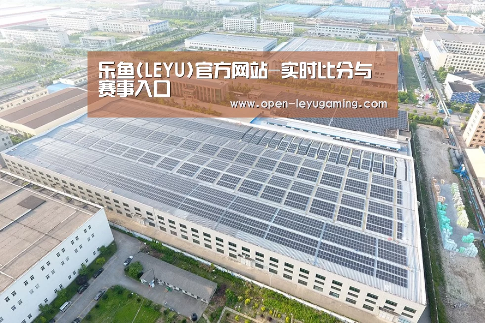 案例展示一