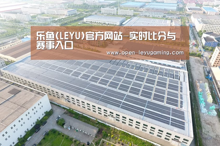 案例展示二