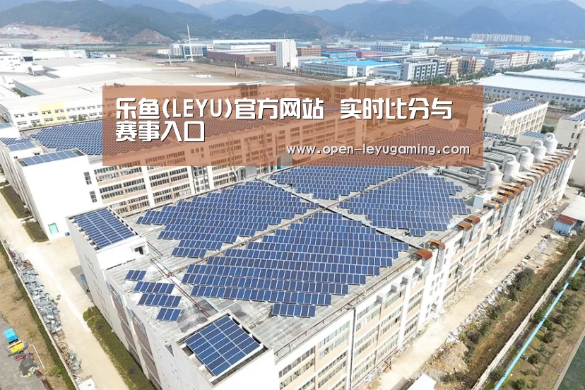 案例展示一
