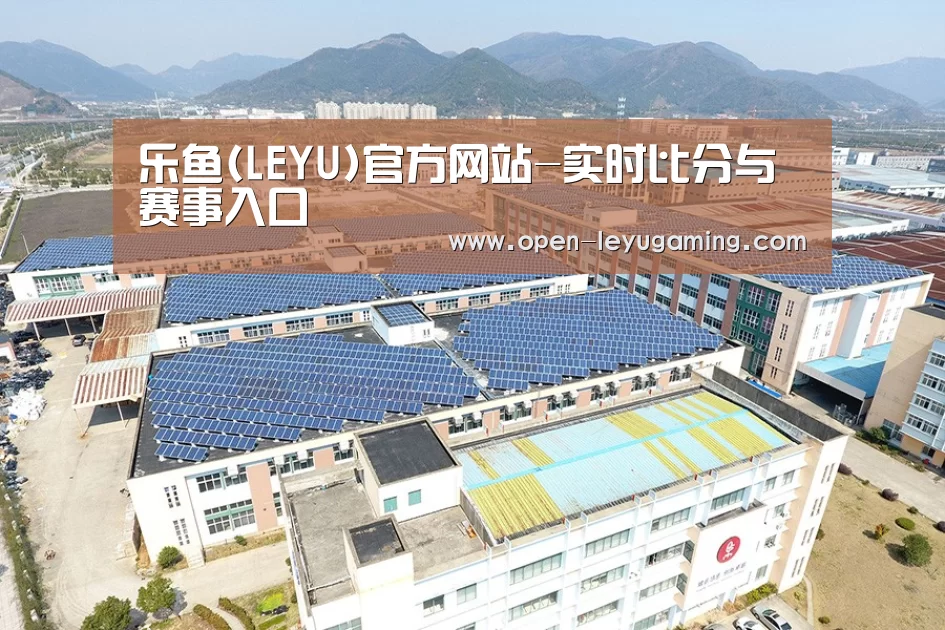 案例展示二