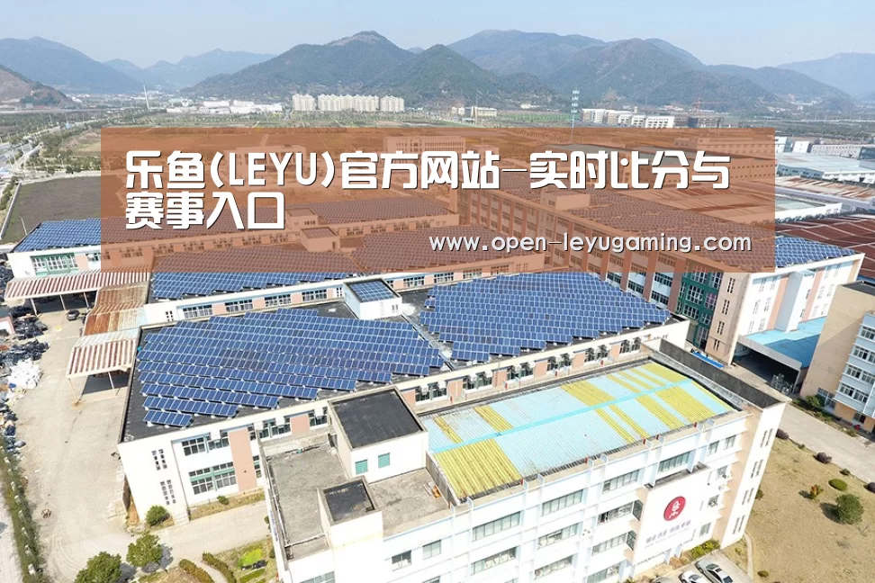 案例展示四