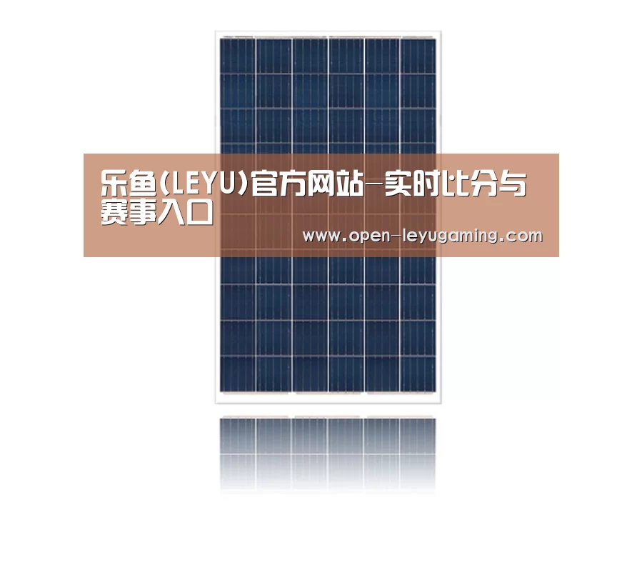 产品名称一