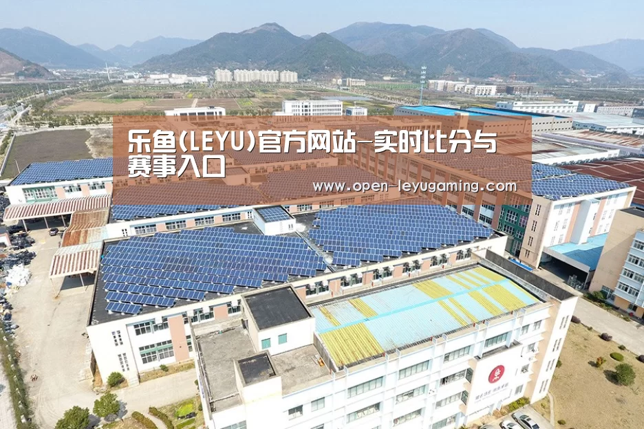 案例展示一