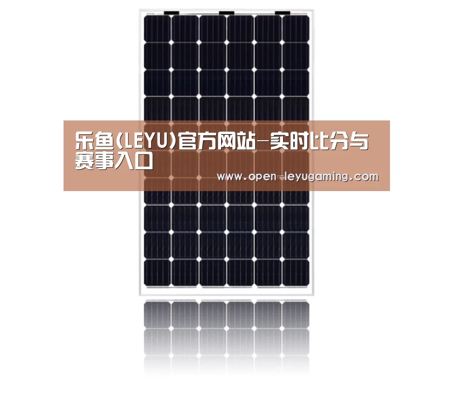 产品名称五
