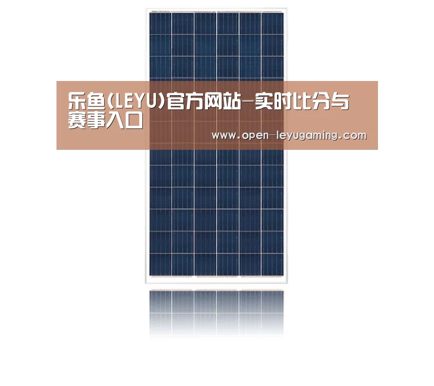 产品名称一