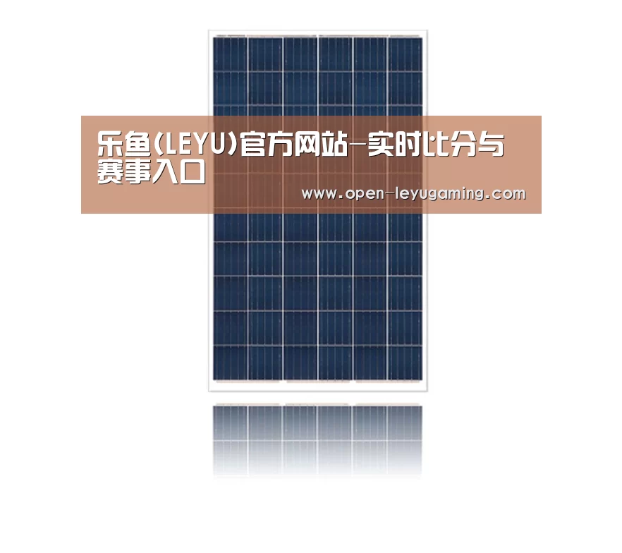 产品名称一