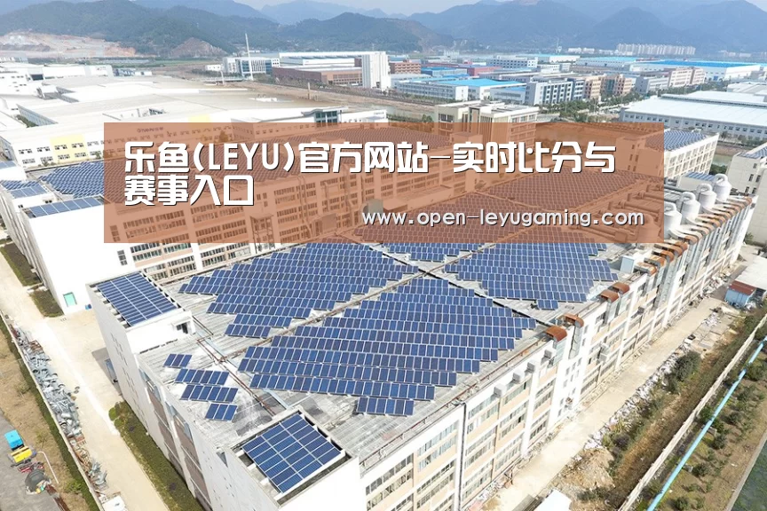 案例展示三