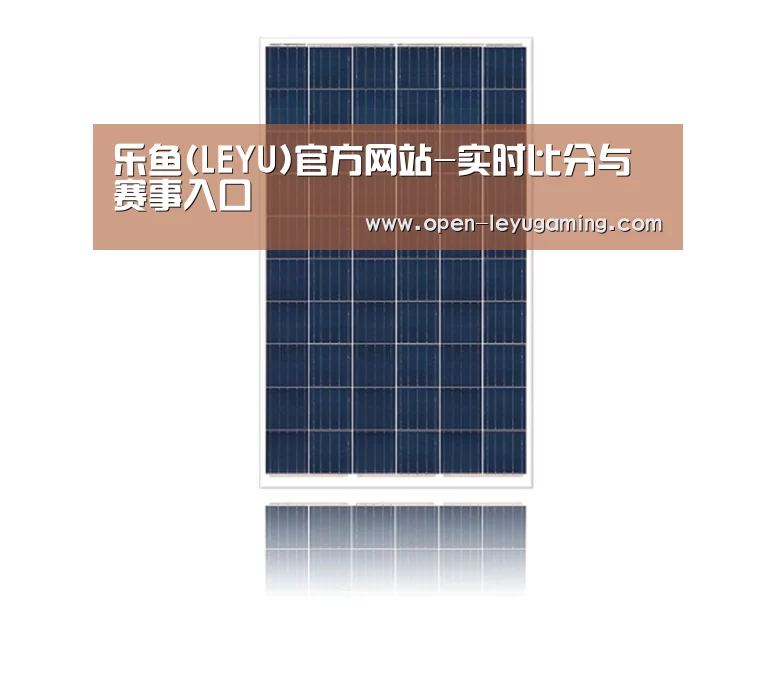 产品名称四