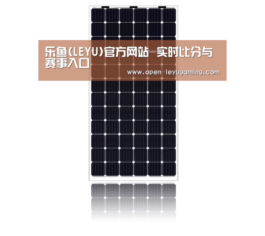 产品名称五