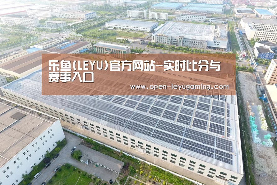 案例展示二
