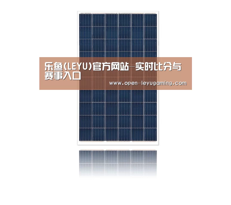 产品名称四