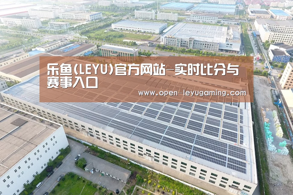 案例展示三