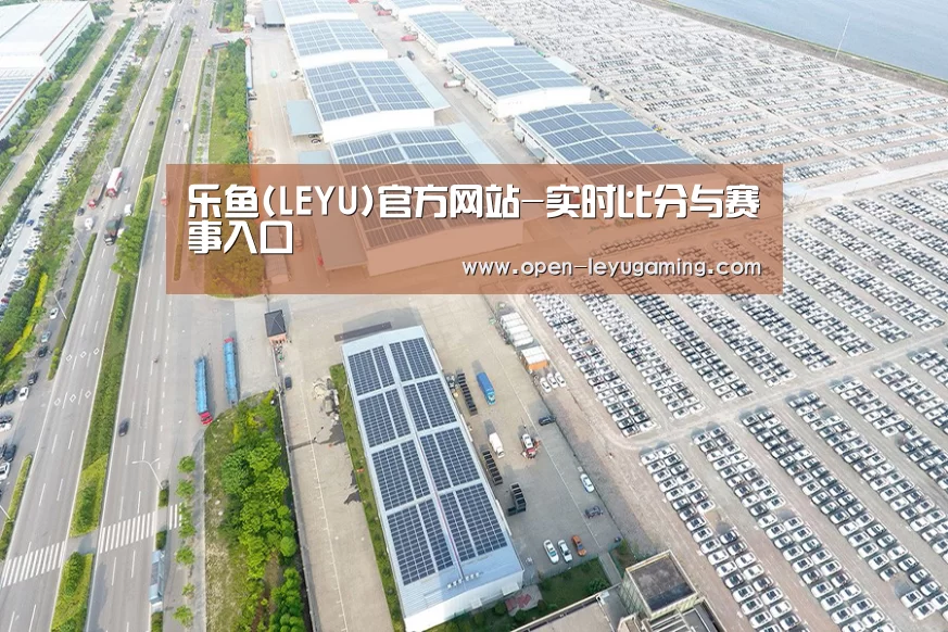 案例展示一