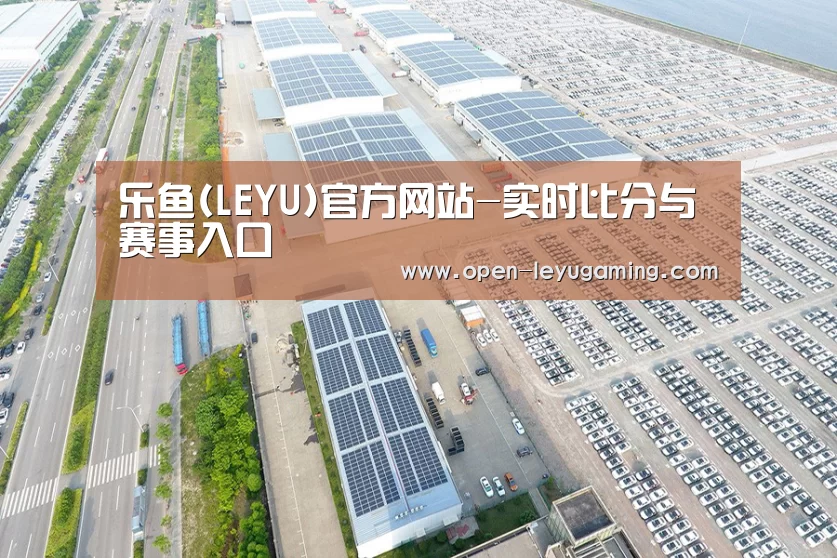 案例展示一
