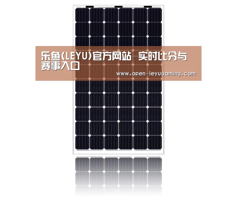 产品名称六