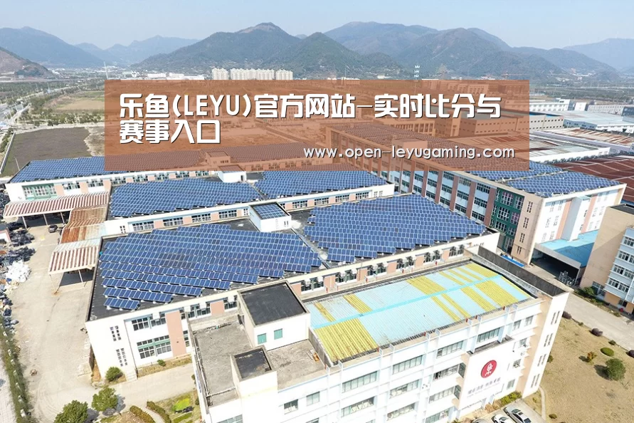 案例展示三