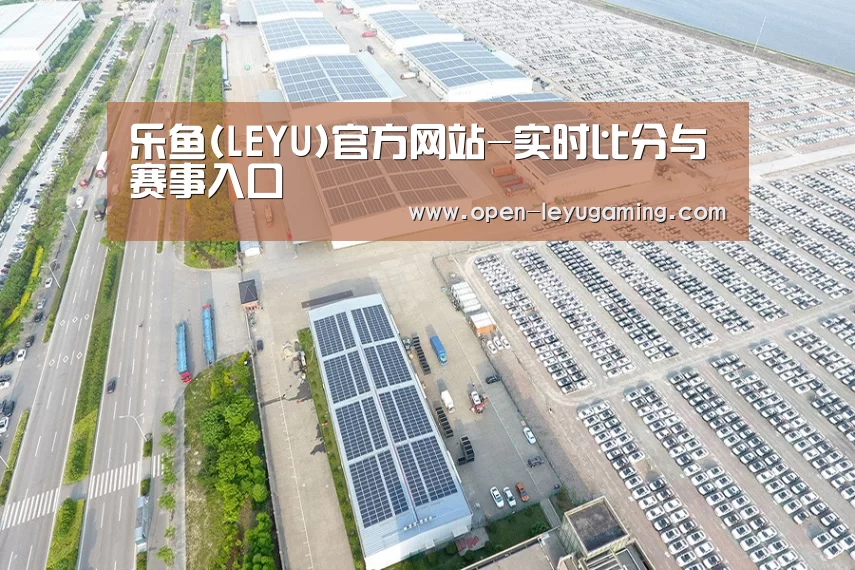 案例展示四