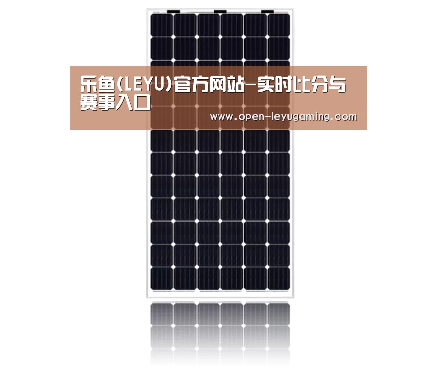 产品名称五