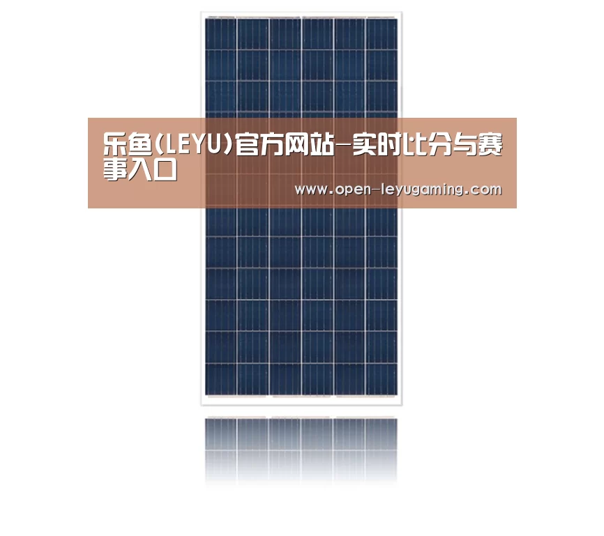 产品名称一