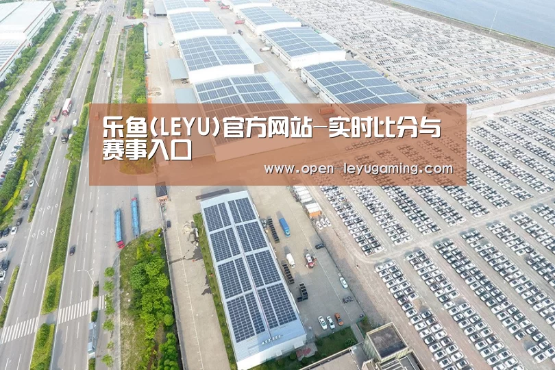 案例展示二