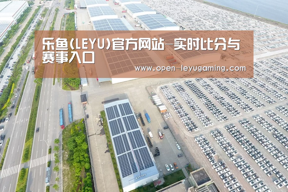 案例展示三