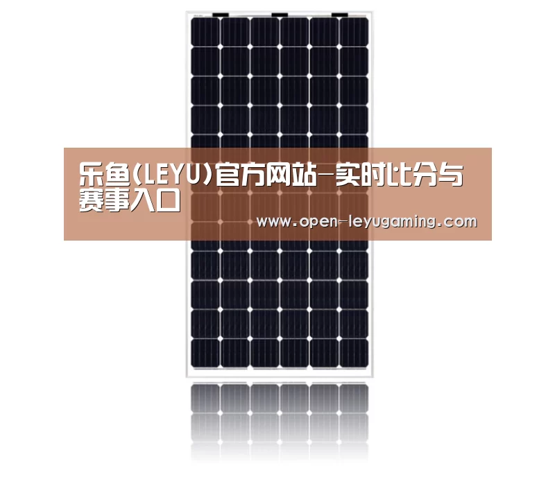 产品名称六