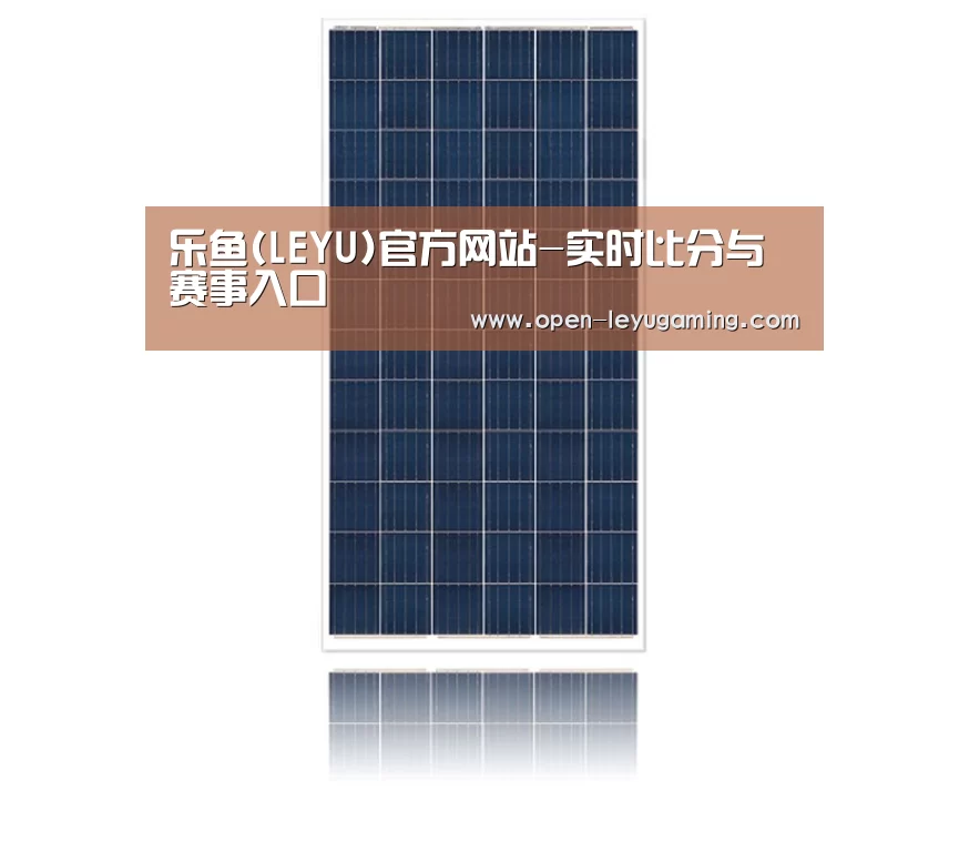 产品名称四