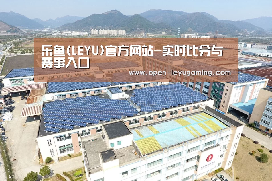 案例展示三