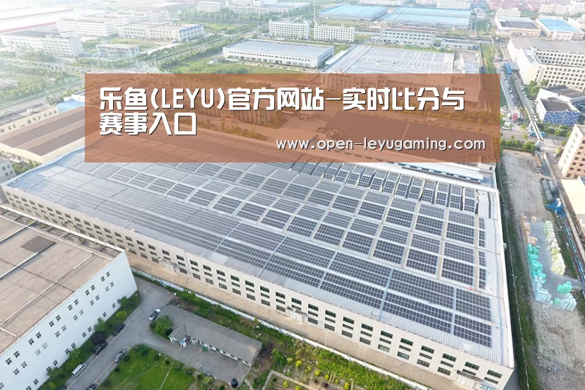 案例展示四