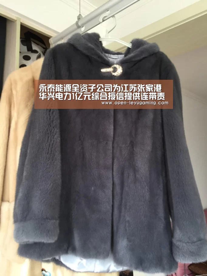 永泰能源全资子公司为江苏张家港华兴电力1亿元综合授信提供连带责任担保“乐鱼app”(图2) 乐鱼体育