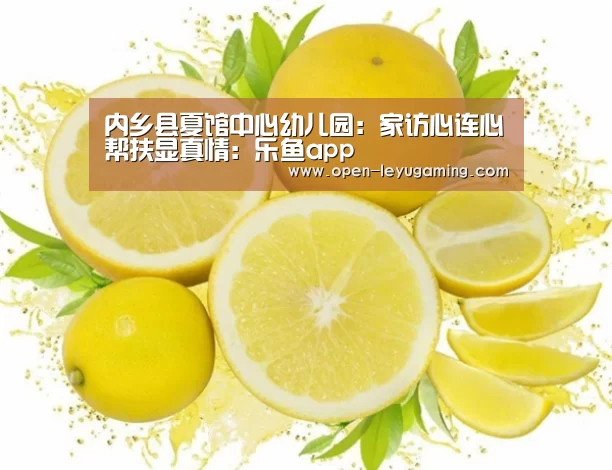 内乡县夏馆中心幼儿园：家访心连心帮扶显真