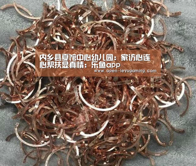 内乡县夏馆中心幼儿园:家访心连心帮扶显真情:乐鱼app(图3) 乐鱼体育